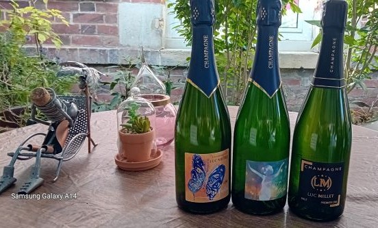 Carte Noire Papillon Festival jpg