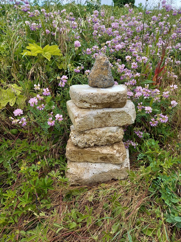 Dans nos vignes a CUMIERESjpg