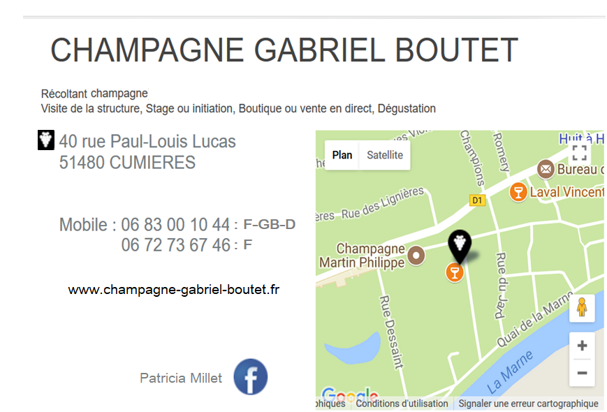 Fiche google Gabriel Boutet