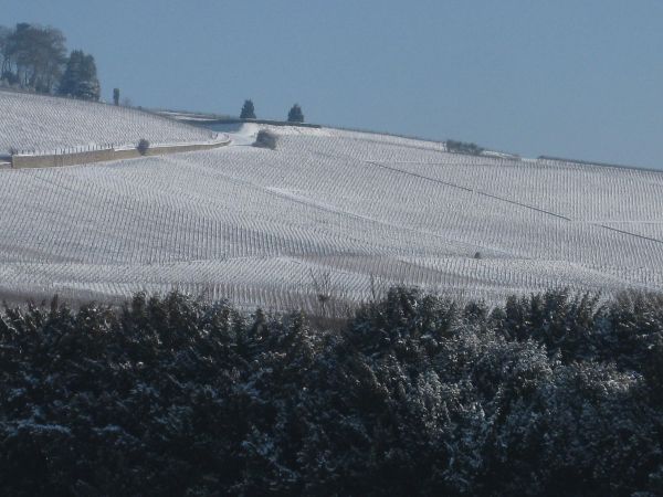 Hautvillers vue de CUMIERESPHOTO de PatriciaHM CHampagne Gabriel Bouet
