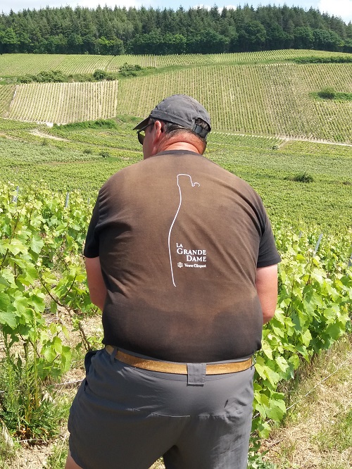 Image vigneron champagne gabriel boutet