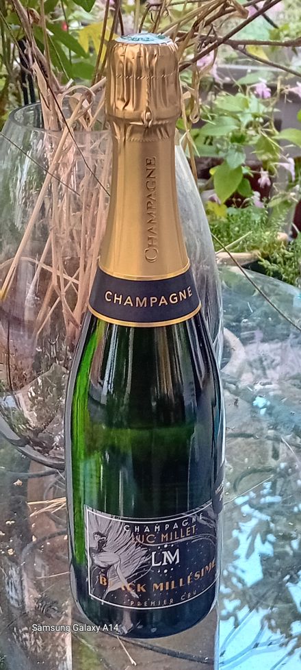 Millésime Noirs 2016 Luc MILLET