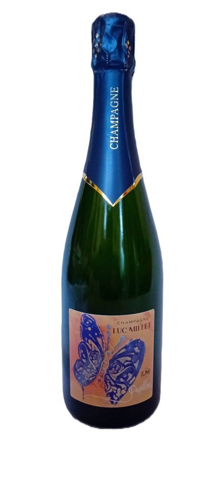 bouteille de Champagne Papillon Meunier avenue de Champagne Epernay