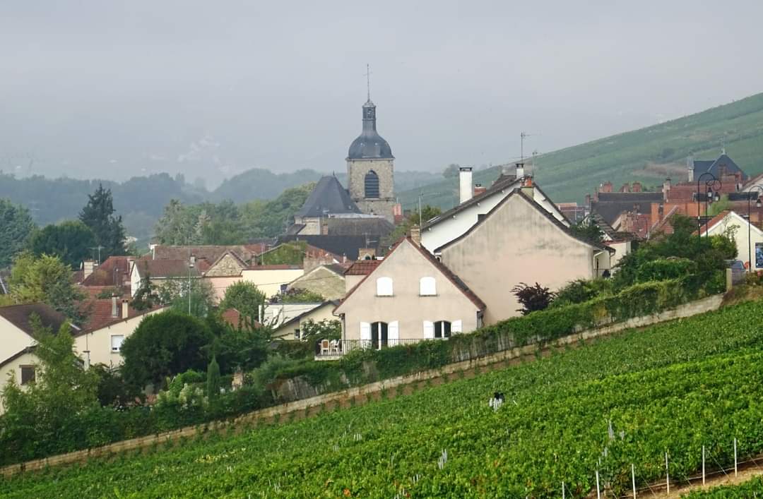 cumieres coté Dizy crédit photo Champagne Gabriel Boutet 