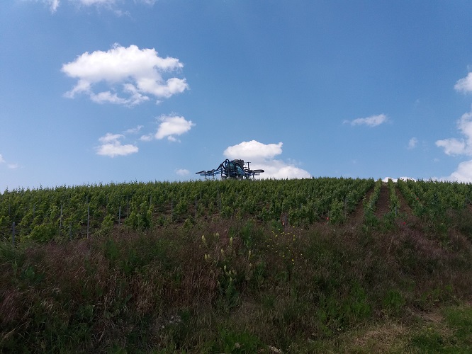 image tracteur 1 champagne gabriel boutet 