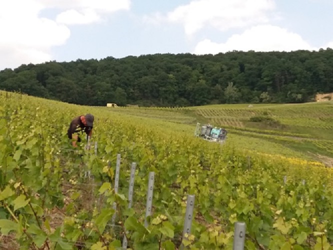 image tracteur 2 champagne gabriel boutet