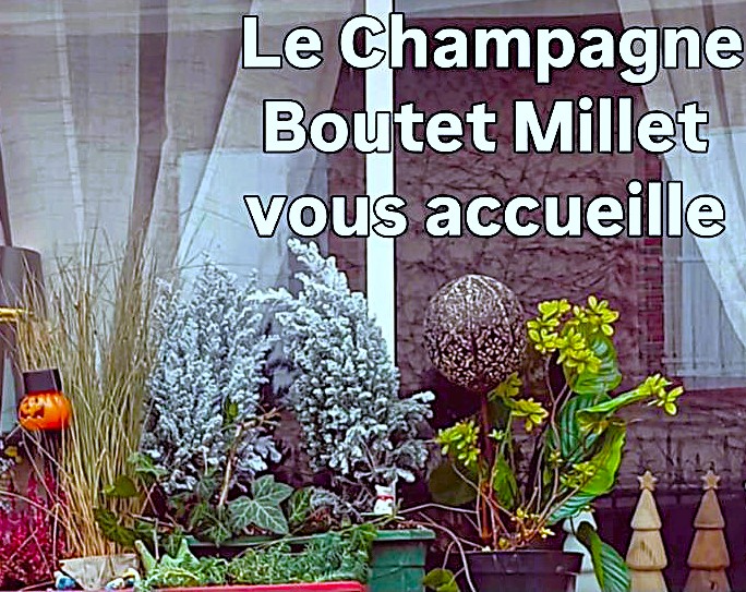 le CHampagne Boutet MIllet vous accueille à CUMIERES