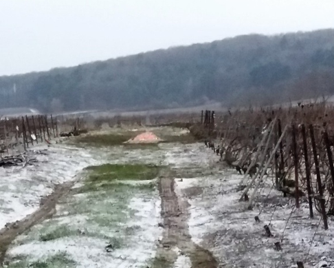 le gel et les saints de glaces site 4