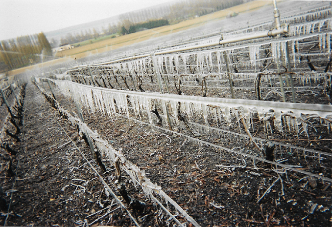 le gel et les saints de glaces site 6