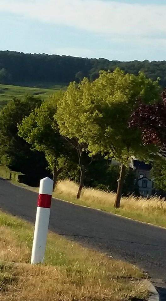 photo Cumières route dEpernay crédit Photo Champagne Gabriel Boutet