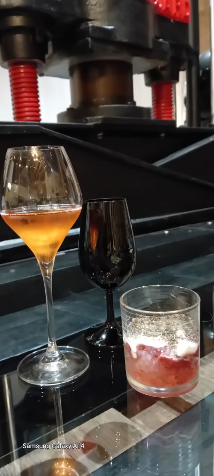 photo degustation presssoir champagne boutet millet