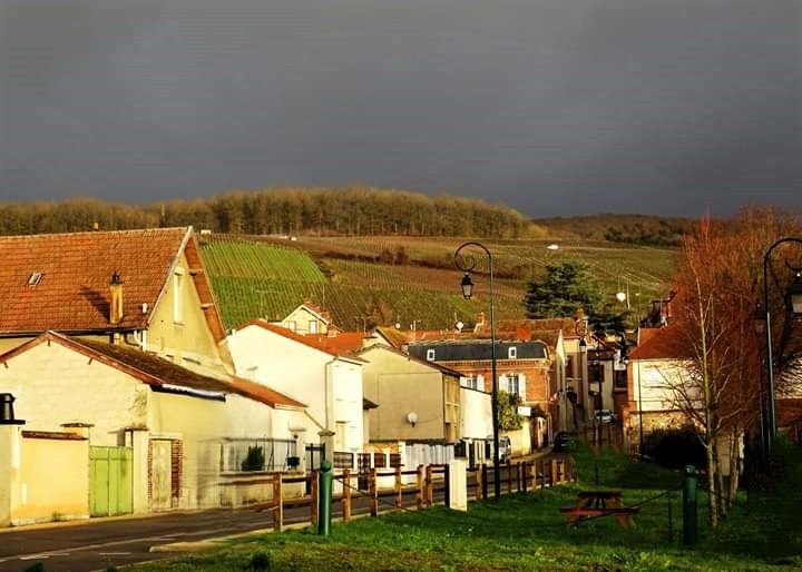 photo maison Champagne boutet automne